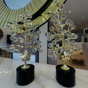 484834930_17849526564427184_8434555636845782996_n